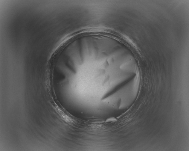 X0000076051456200610061457