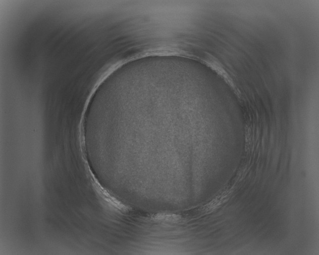 X0000076051466200610061457