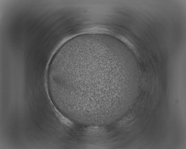 X0000076051478200610061457
