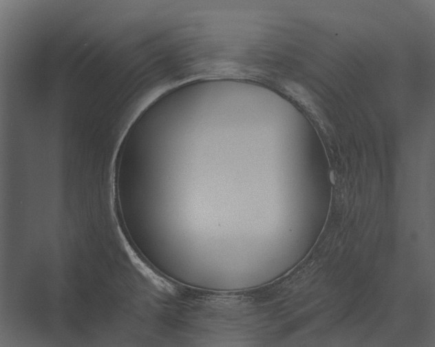 X0000076051479200610061457