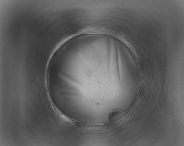X0000076051486200610061457
