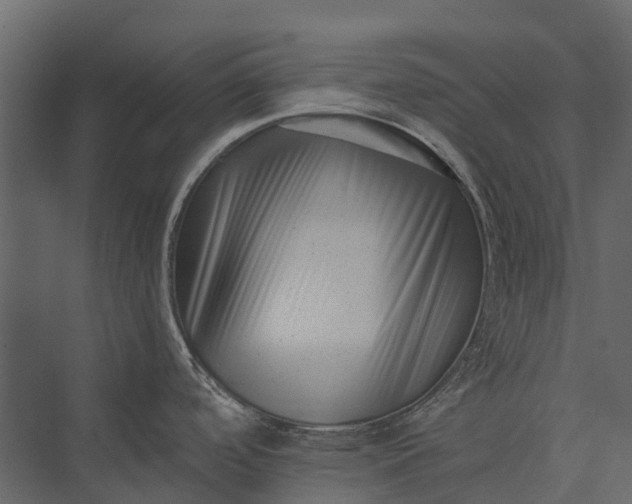 X0000076051488200610061457