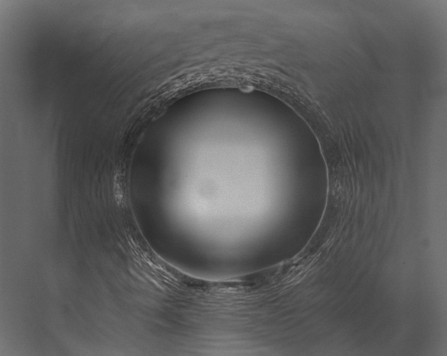 X0000076051490200610061456