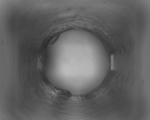 X0000076051491200610061456