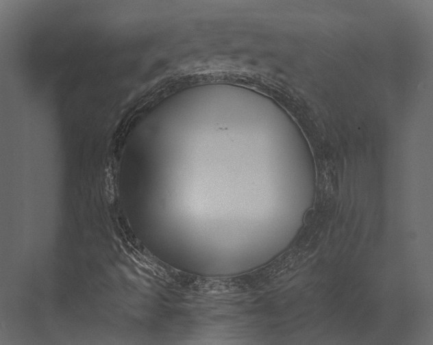 X0000076051493200610061456
