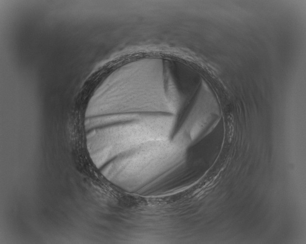 X0000076051494200610061456