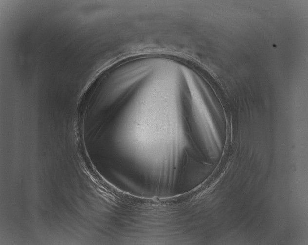 X0000076051501200610061456