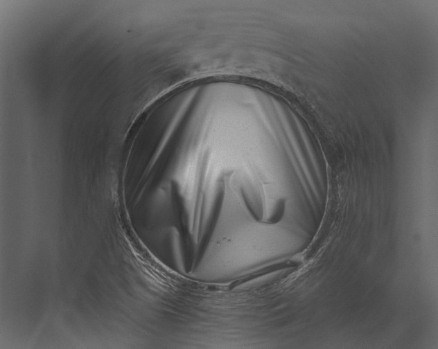 X0000076051505200610061456