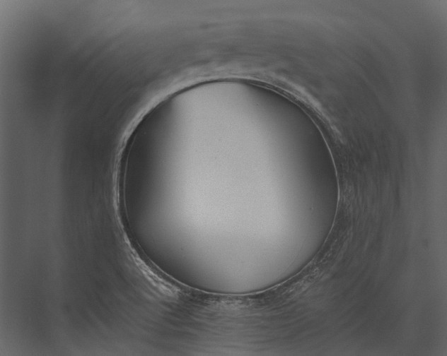 X0000076051512200610061456