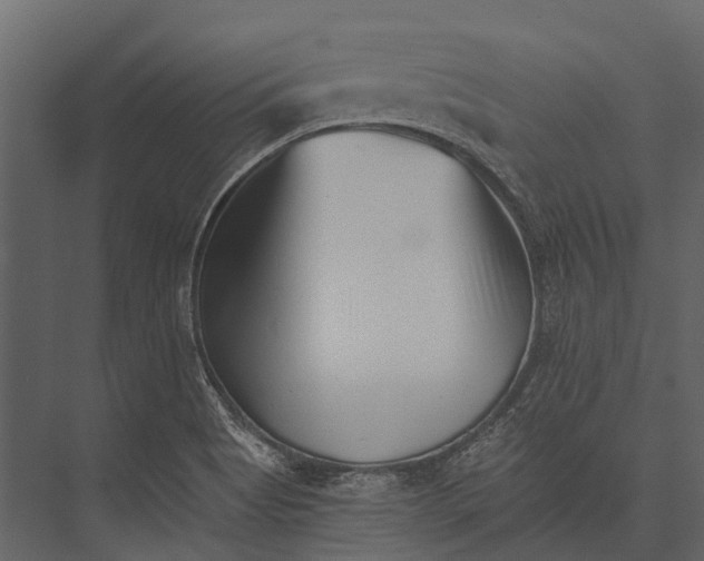 X0000076051513200610061456