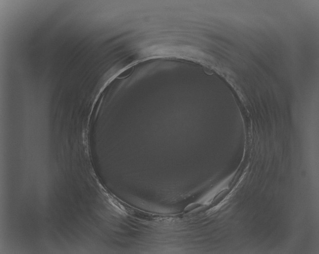 X0000076051529200610061457