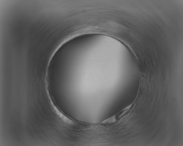 X0000076051531200610061457