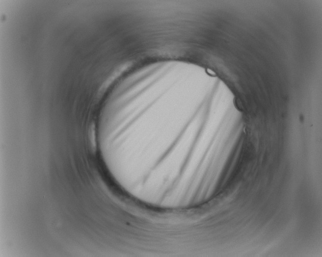 X0000076050020200610152149