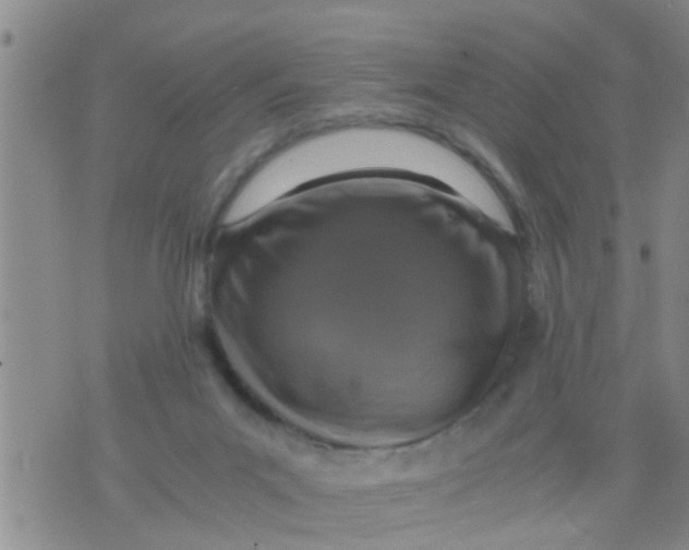 X0000076050023200610152149