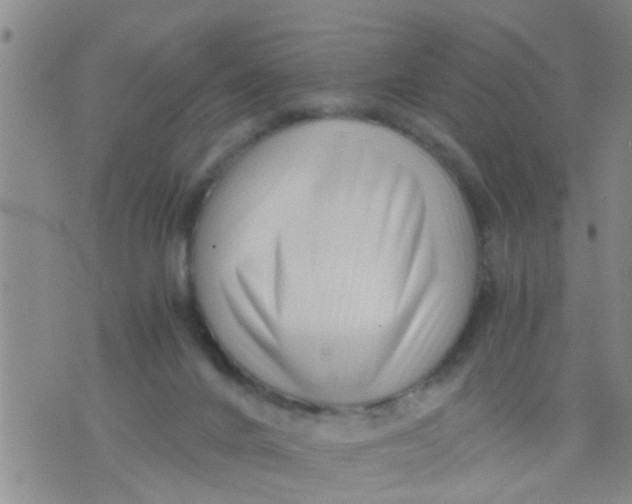 X0000076050024200610152149