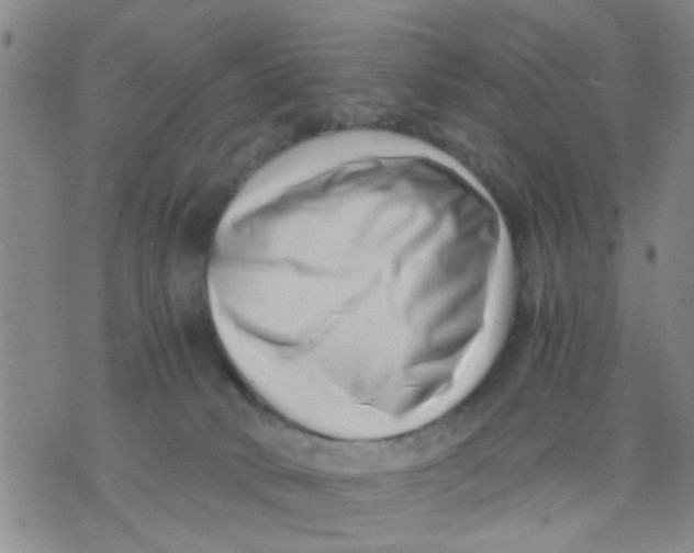 X0000076050034200610152148