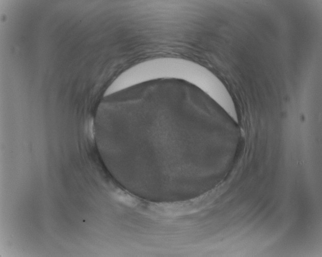X0000076050041200610152148