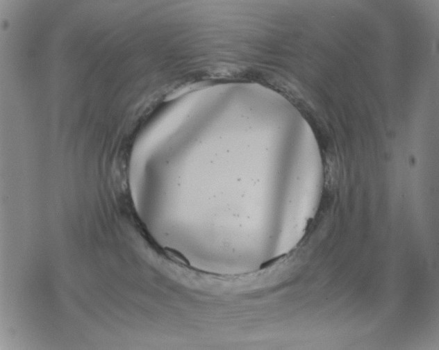X0000076050043200610152148