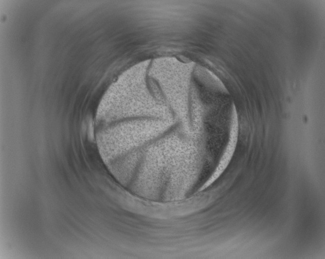 X0000076050046200610152148
