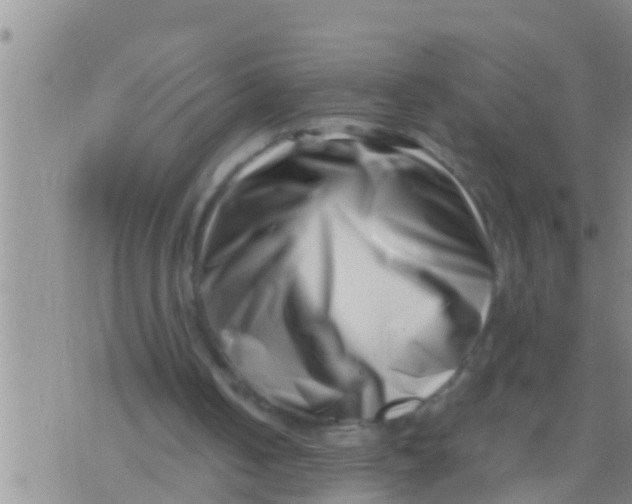 X0000076050050200610152147