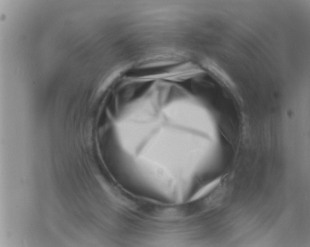 X0000076050058200610152148