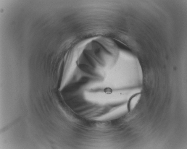 X0000076050070200610152148