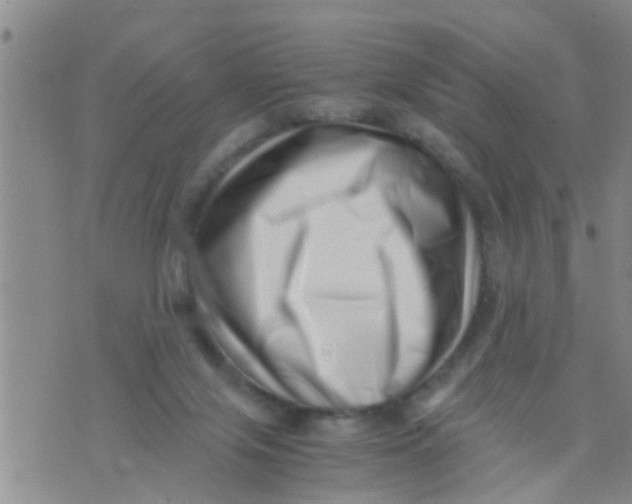 X0000076050071200610152148