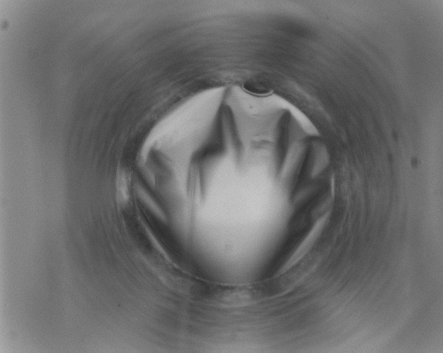 X0000076050075200610152148