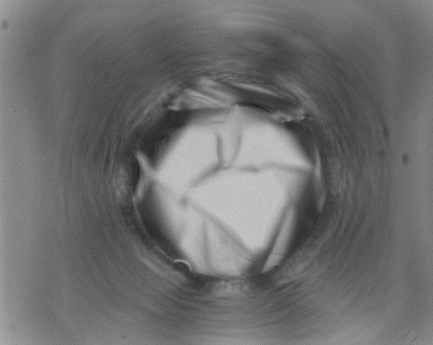 X0000076050077200610152148