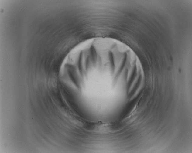 X0000076050078200610152148