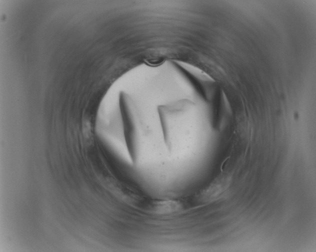 X0000076050087200610152148