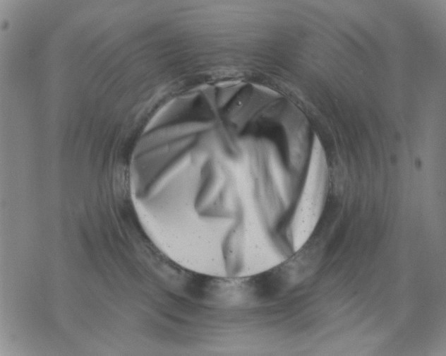 X0000076050093200610152148