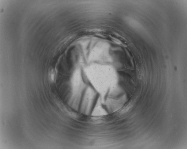 X0000076050095200610152148