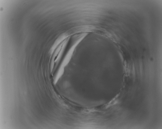 X0000076050099200610152147