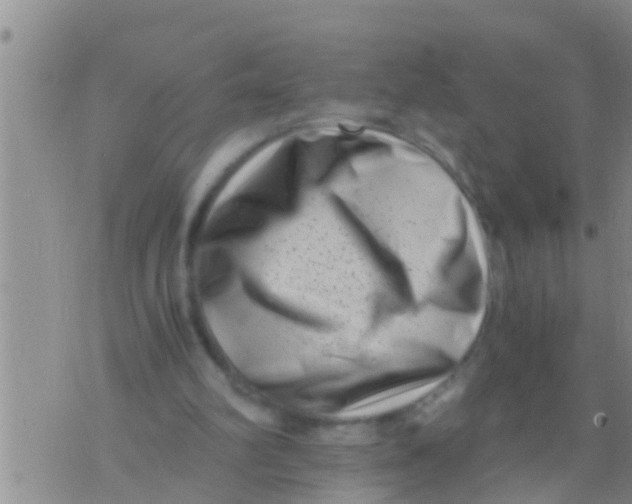 X0000076050102200610152147