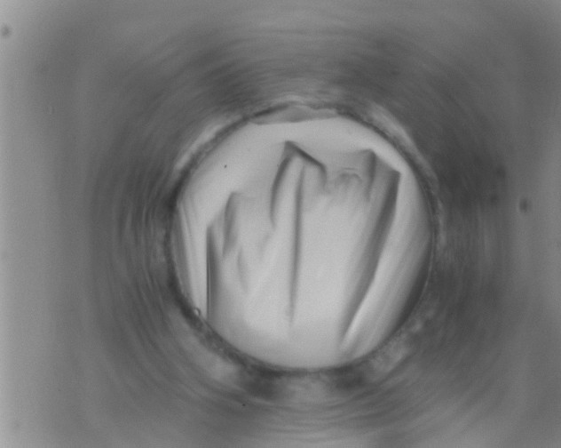 X0000076050106200610152147