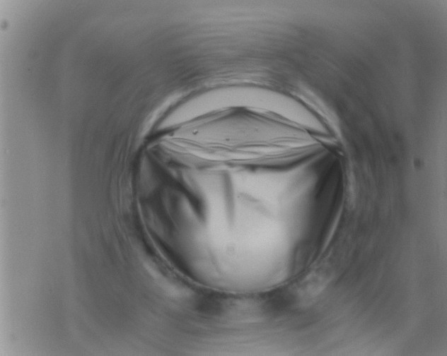 X0000076050107200610152147
