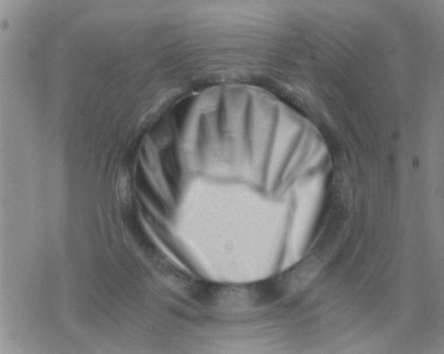 X0000076050123200610152147