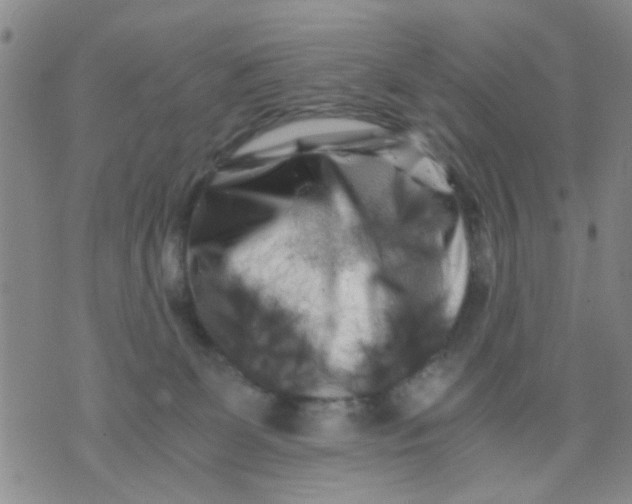 X0000076050131200610152147