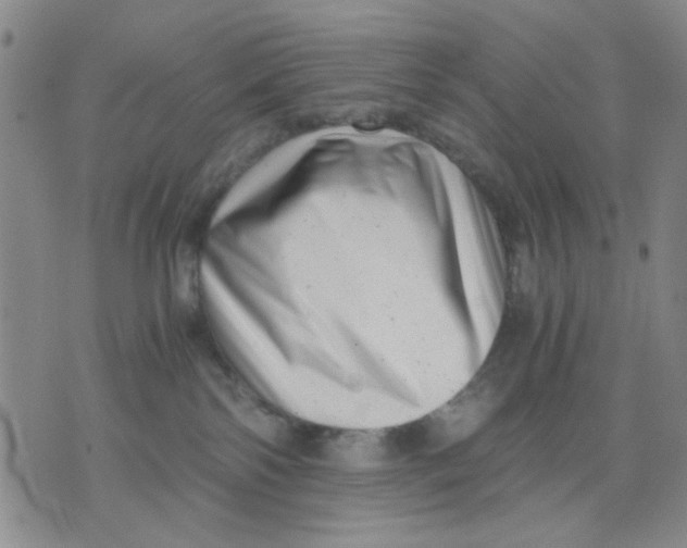 X0000076050138200610152147