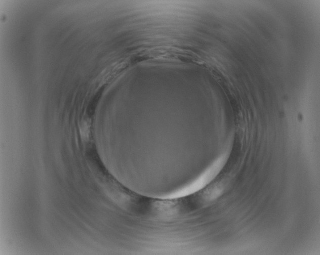 X0000076050139200610152147