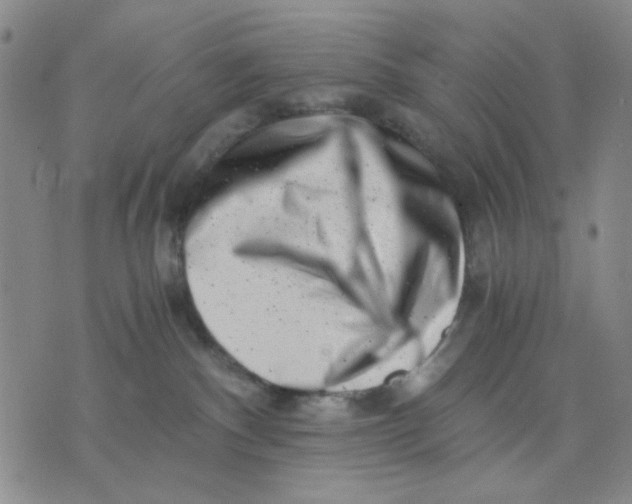 X0000076050140200610152147