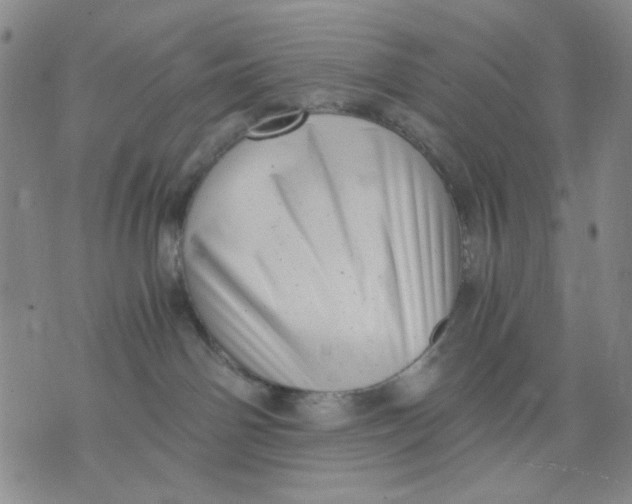 X0000076050142200610152147