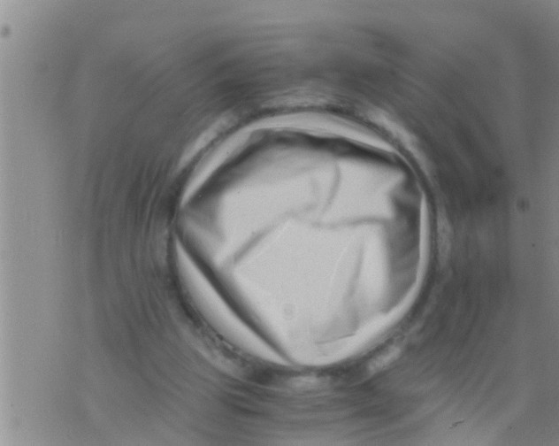 X0000076050153200610152146