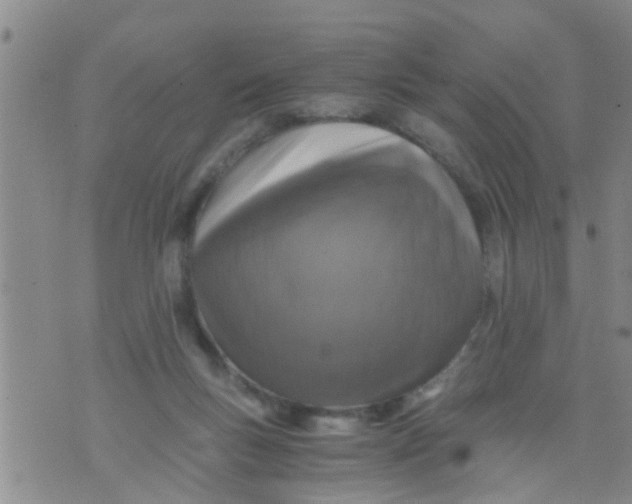 X0000076050167200610152146