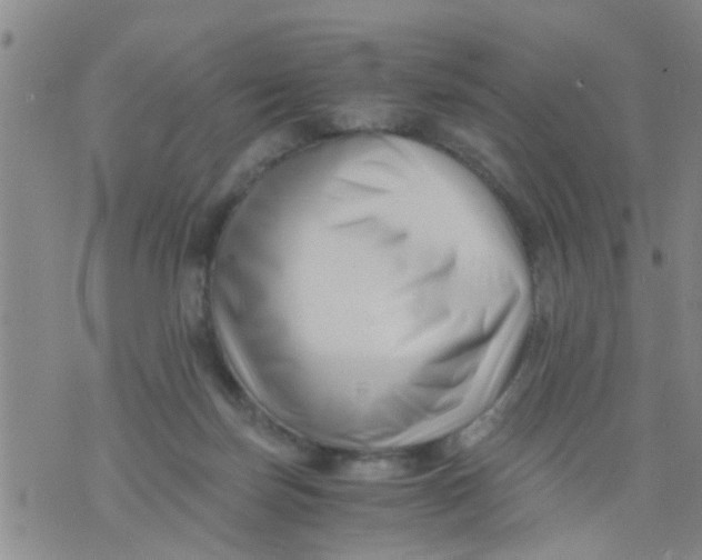 X0000076050171200610152146