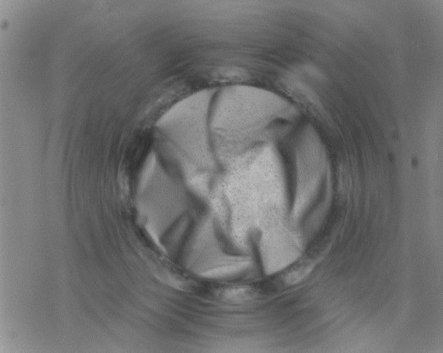 X0000076050173200610152146