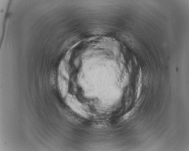 X0000076050175200610152146