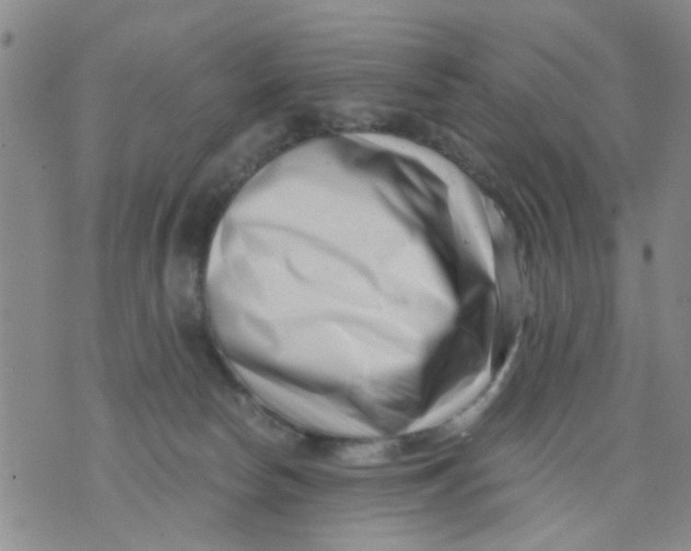 X0000076050178200610152146