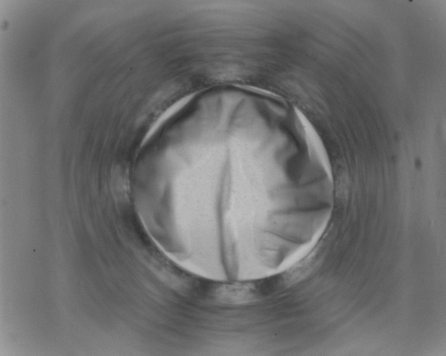 X0000076050179200610152146